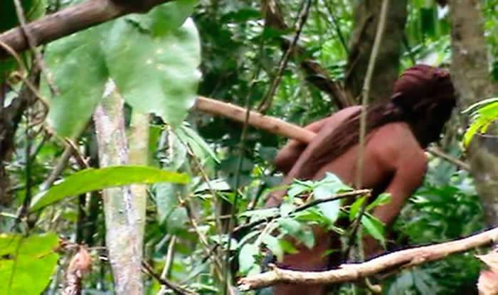 巴西朗多尼亚州（Rondônia）塔纳鲁原住民保留地（TanaruIndigenousLand）内「孤独幸存者」稍纵即逝的身影。COURTES