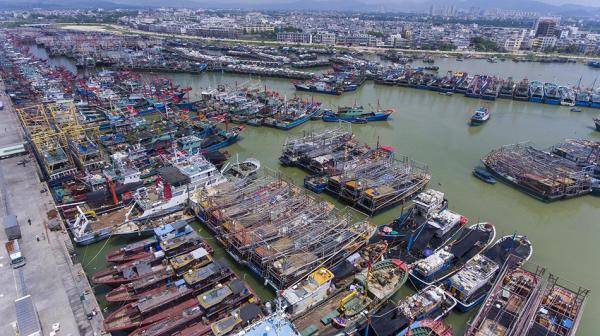 9月15日，海南三亚崖州中心渔港停靠着众多回港避风的渔船。视觉中国 图