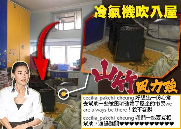 张柏芝欲帮助“山竹”受灾市民:义不容辞