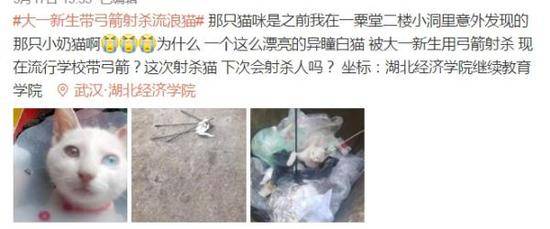 武汉大一新生带弓箭射杀流浪猫，校方：事发校外，警方已介入