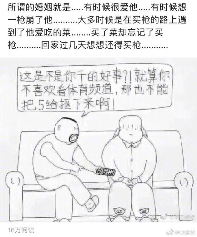 张歆艺配图