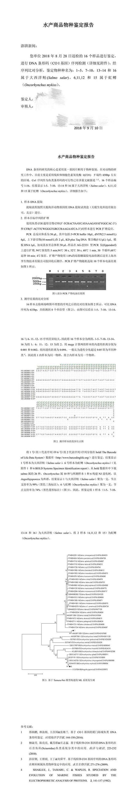 该水产研究所出具的《水产商品物种鉴定报告》电子版部分内容。