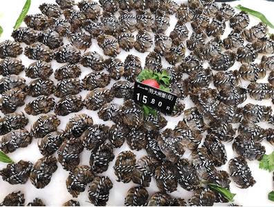 9月18日，安徽淮南市一家超市内，大闸蟹热销。图/视觉中国