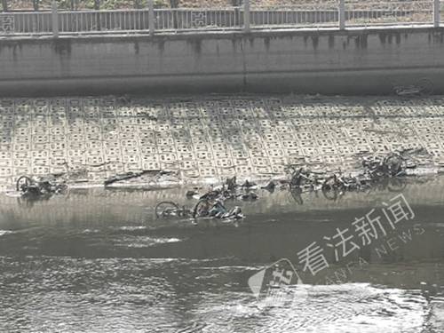 通惠河中出现大量共享单车。摄/记者董振杰