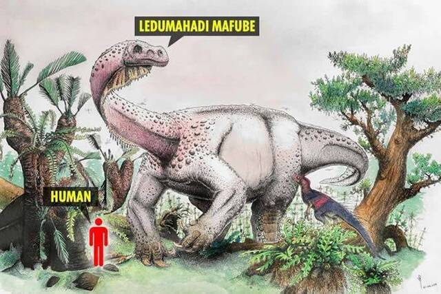 南非出土2亿年前“Ledumahadimafube”化石证属两足恐龙进化物种