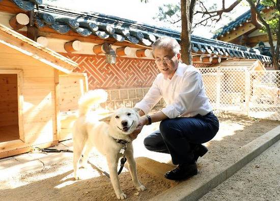 文在寅抚摸朝鲜丰山犬（亚洲经济）