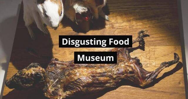 “恶心食物博物馆”官网截图