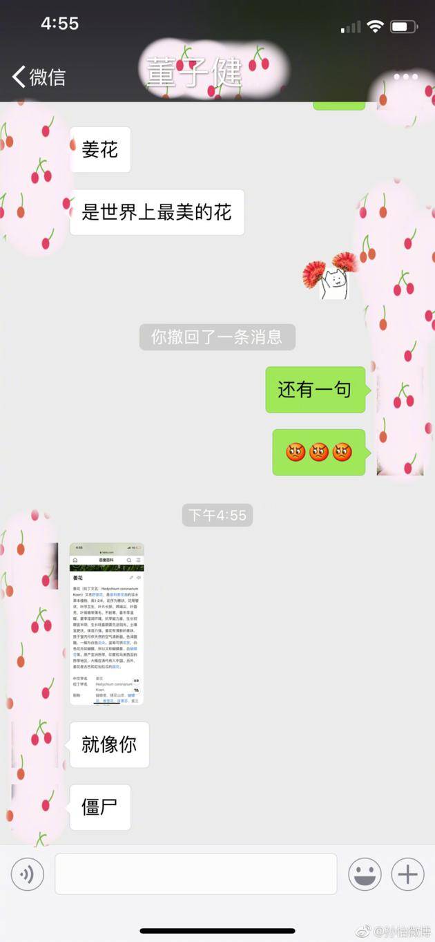 孙怡董子健聊天截图