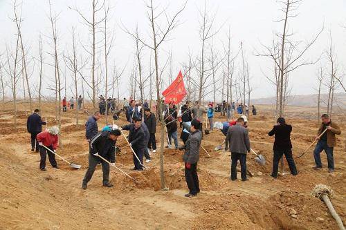 人们在山东日照植树造林（西班牙《国家报》网站资料图片）