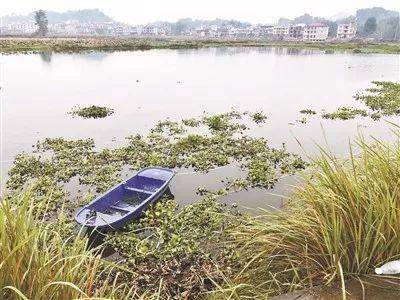 ▷戴兰兰和孩子的投湖地点