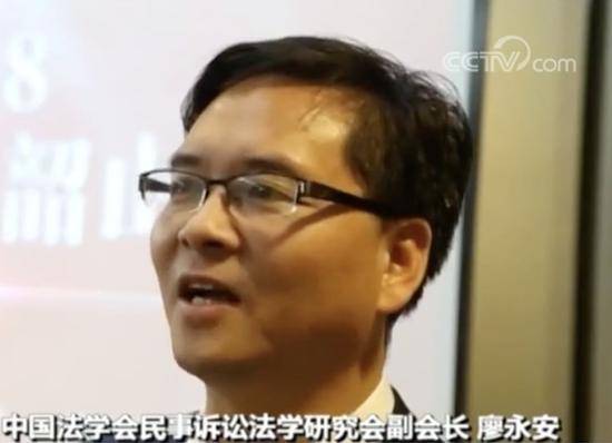 中国法学会民事诉讼法学研究会副会长廖永安：