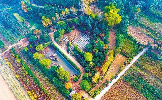 陈路别墅拆除复绿航拍