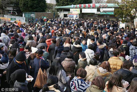 今年2月，排队参观上野动物园熊猫的日本民众（图片来源：视觉中国）