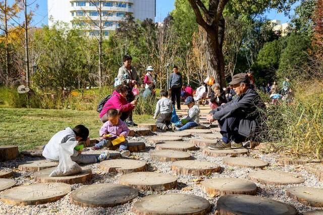 10月31日，市民在东城区新中街城市森林内休憩。供图：北京市园林绿化局何建勇摄