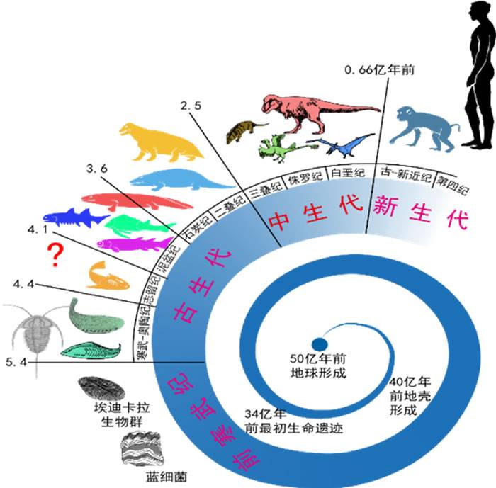 地球生物进化旅程（图片由朱敏提供下同）