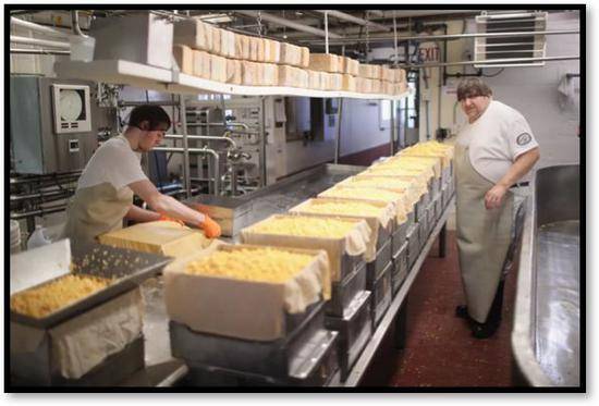 奶制品生产商制造出的大量奶酪（图源：ScottOlson/盖蒂图片社）