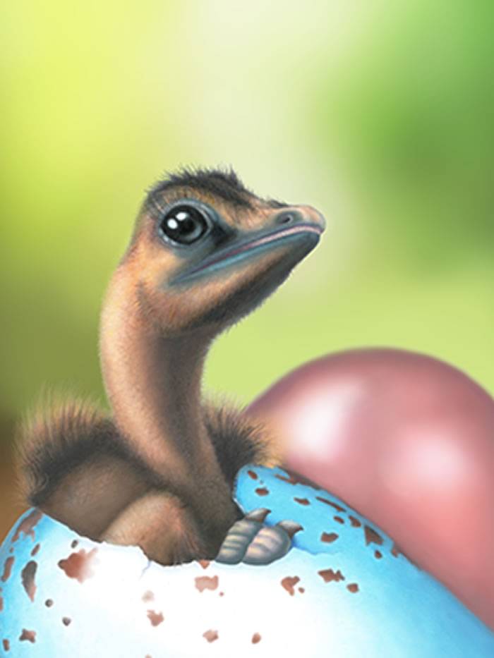 彩色蛋只演化出一次现代鸟类的蛋壳色素沉着机制源自恐龙