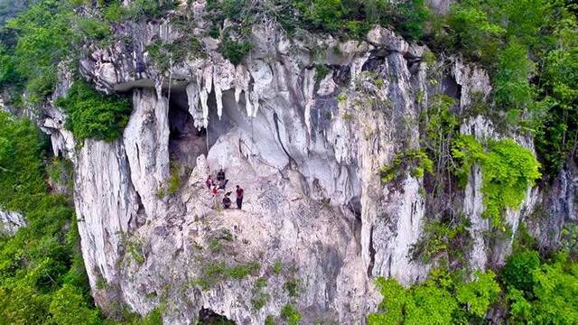 印度尼西亚加里曼丹发现4万年前岩画目前所知最古老具象艺术品