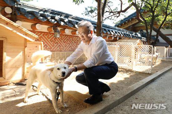 文在寅与丰山犬“松江”亲密互动（韩国《中央日报》）