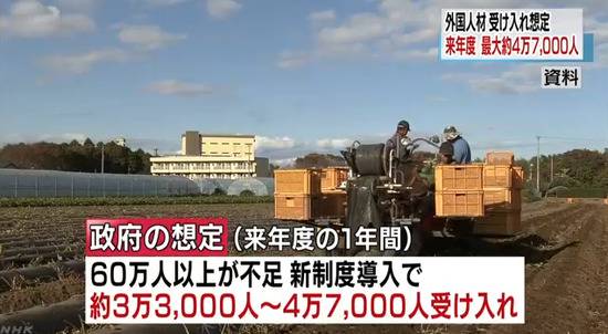 （NHK电视台视频截图）