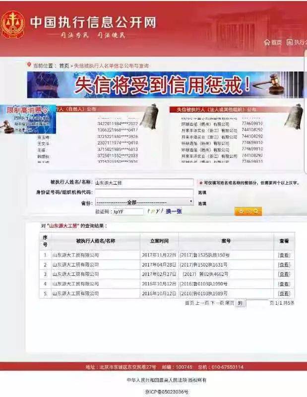 中国执行信息公开网截图，显示“山东源大工贸”或苏银霞、于西明名下，有5条失信被执行人信息。