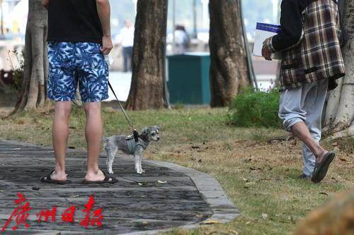 资料图广州日报全媒体记者邱伟荣摄