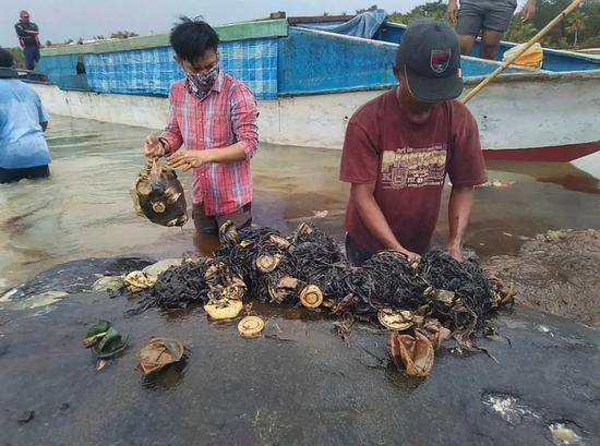 鲸鱼胃中的塑料垃圾（来源：加拿大哥伦比亚广播公司）