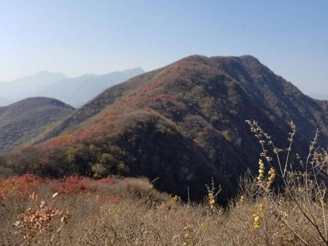 侵华日军摩崖石刻所在的凤凰山。刘卫东供图