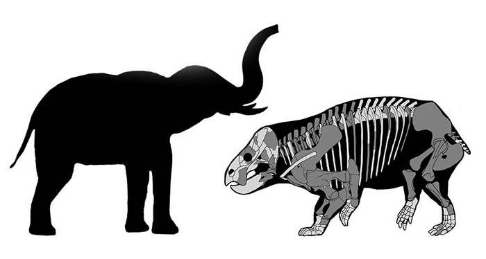 三叠世时期陆地上漫游的巨型食草动物不只有恐龙哺乳动物祖先二齿兽也巨大
