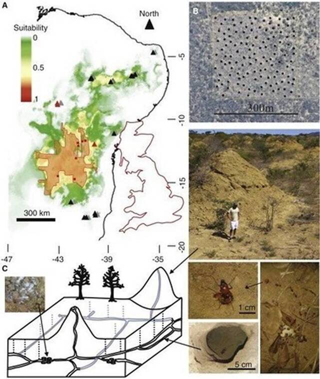 巴西东北部发现3800年历史白蚁窝巨大土丘群面积相当于整个英国大小