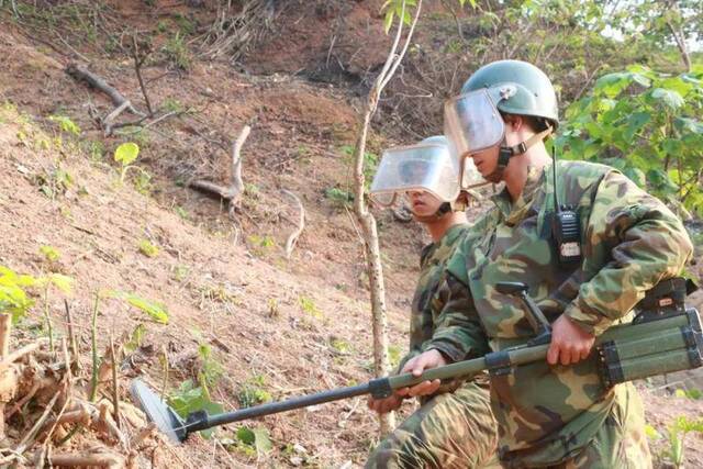 杜富国与战友一起在某雷场进行人工搜排作业。手持探雷器的是杜富国。杨萌摄（资料图）