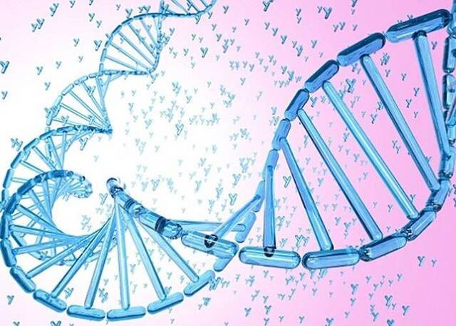 新研究指所有现代人均是同一对生活于10万至20万年前的夫妇后代