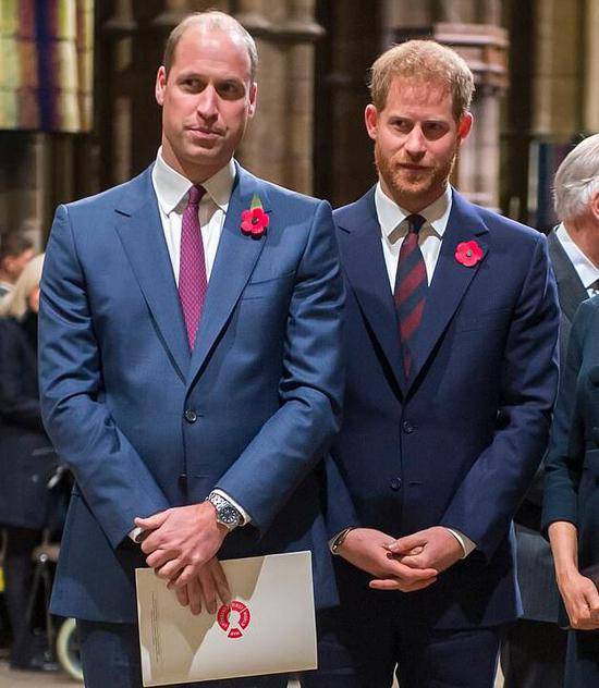 英媒曝威廉哈里兄弟不和。（图源：Getty）