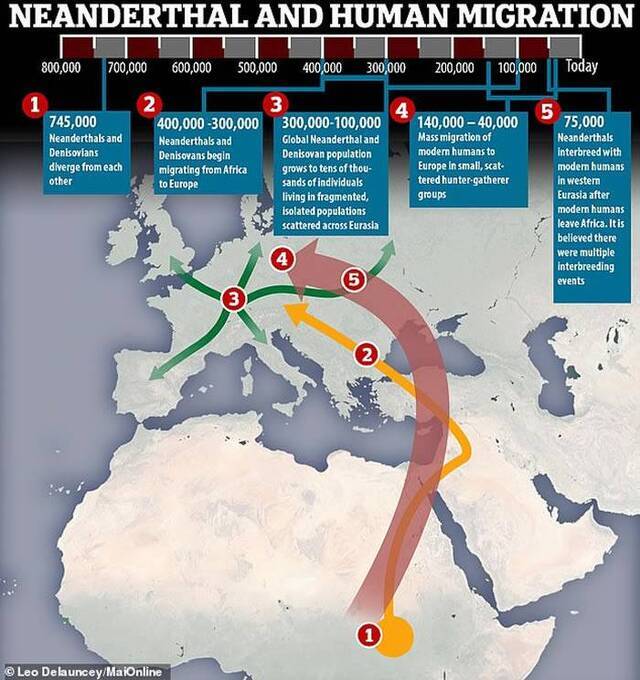 尼安德特人与现代人曾发生多次基因交流