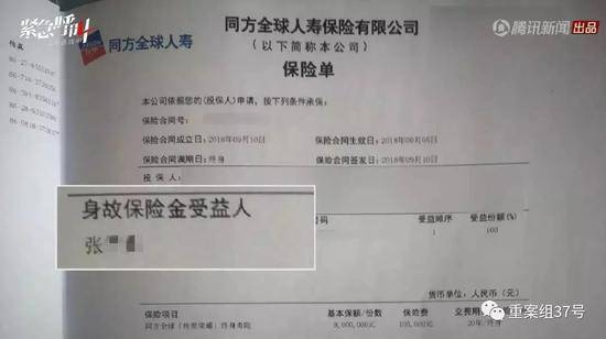 ▲张某凡为妻子买的保险单。新京报我们视频截图