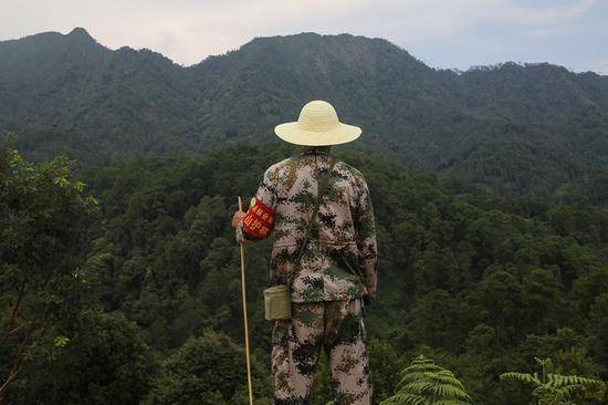 ▷从伐木工转为护林员的王彬望着自己巡护的山林，这里曾是一片荒山秃岭