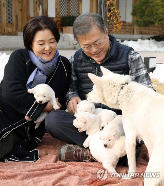 11月25日下午，文在寅夫妇开心爱抚小狗崽。（韩联社）