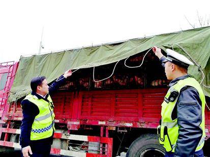 图为警方检查违规运输生猪的货车