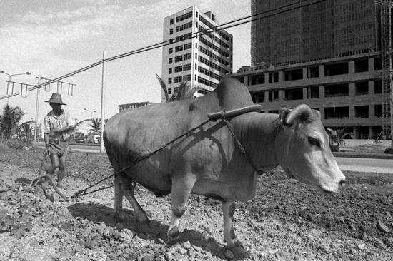 1989年，海口，海口市龙昆路上最后的一片田地。摄影|黄一鸣