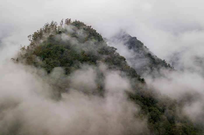 厄瓜多西部的热带雨林属于查科地区，具有丰富的生物多样性。在这些云雾下，该区拥有至少25%的全球植物多样性，还有只在当地栖息的动物物种。PHOTOGRAPHB