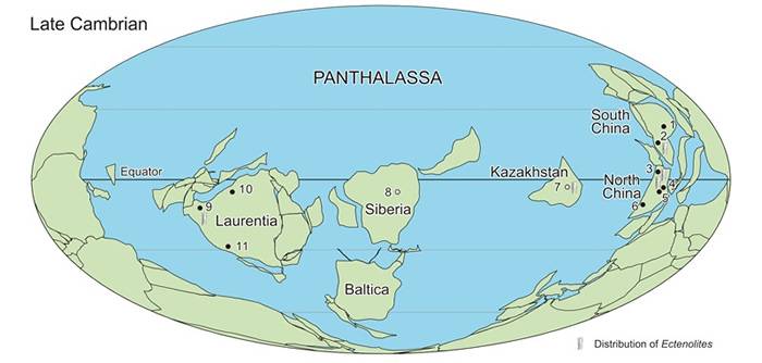 寒武纪晚期全球头足类产地分布