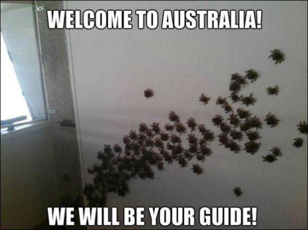 “欢迎来到澳大利亚，我们是你的导游！”