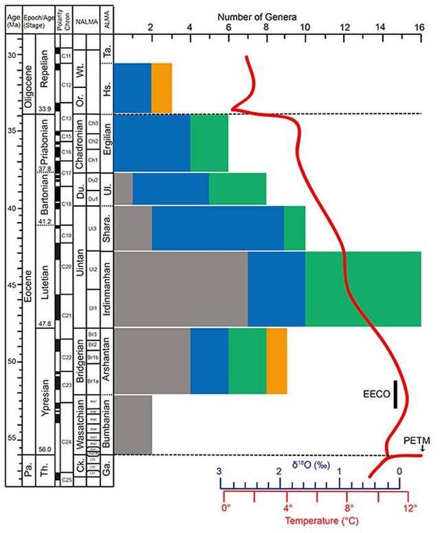 图3：内蒙古二连盆地早始新世至早渐新世奇蹄类多样性的变化和全球温度变化曲线的对应关系，以及始新世亚洲哺乳动物分期和北美哺乳动物分期的对比。灰色、蓝色、绿色和桔色