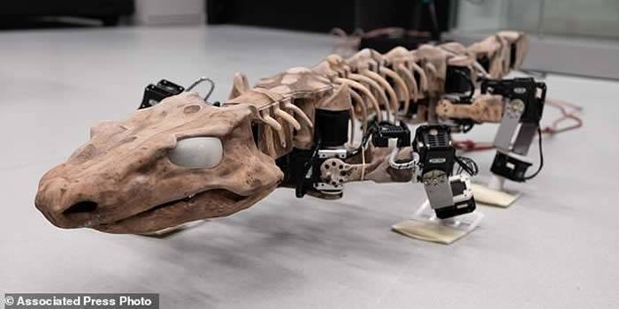 仿真机器人OroBOT展示近3亿年前古生物Orobatespabsti如何移动