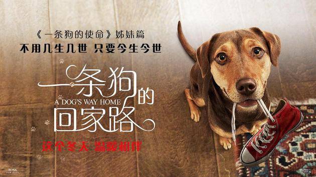 电影《一条狗的回家路》海报
