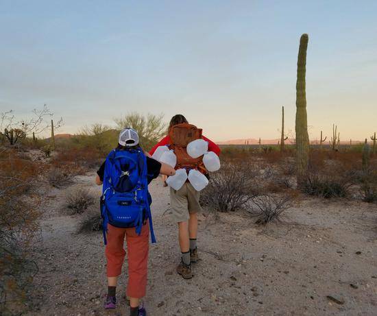 该组织成员进入沙漠，并留下水罐以救助越境者