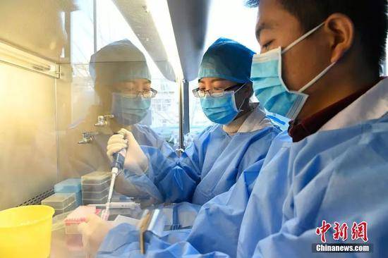 1月11日，山西省太原市疾控中心，微生物检验人员检测医院送来的样本。韦亮摄