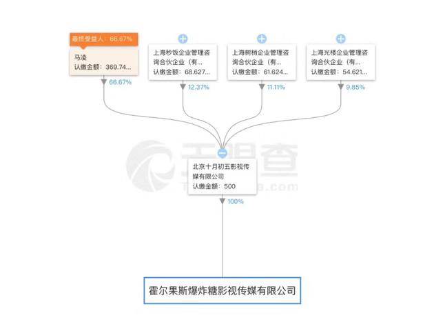 咪蒙控股公司曾因著作权权属、侵权纠纷被起诉。