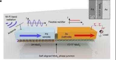 天线将Wi-Fi中的电磁辐射转换为交流电信号，基于二硫化钼的二极管将交流电转换为直流电，为电子设备供电。