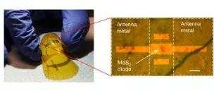 天线和二硫化钼二极管集成在一种聚酰亚胺薄膜上。